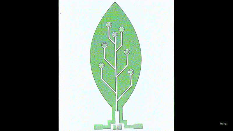 tinywow_Logo_Animation_Video_Creation_Request (1)_85014937.gif